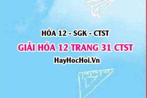 Giải Hóa 12 trang 31 Chân trời sáng tạo SGK